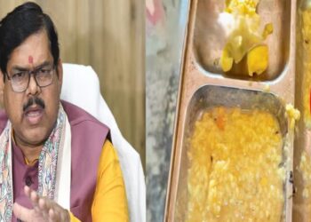 Lizard Allegedly Found in Mid-Day Meal, 25 Children Hospitalised; Bihar Orders Three-Tier Probe