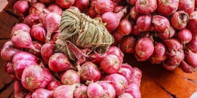 Patna Onion Relief: NCCF to Sell at Rs 35 Per Kg, 2-Kg Limit Per Customer