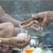 Gaya’s Traditional Pind Daan Faces New Challenge as Online and Tourism Packages Draw Opposition