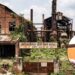 Warisaliganj Sugar Mill Gets Bihar Cabinet Approval; Rs 500 Crore Project to Benefit Farmers in 4 Districts