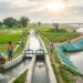 Bihar’s Rs 4,415-Crore Irrigation Mission: What the World Bank-Backed Plan Means for Farmers