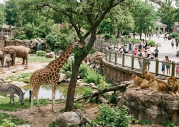 Bihar’s Second Modern Zoo to Come Up in Bodh Gaya at Rs 200 Crore, Spread Across 110 Acres