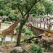 Bihar’s Second Modern Zoo to Come Up in Bodh Gaya at Rs 200 Crore, Spread Across 110 Acres
