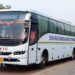 BSRTC To Operate 210 Festival Special Buses From Five States To Bihar With Discounted Fares For Diwali And Chhath