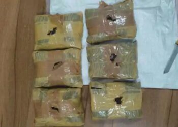 Bihar STF And DRI Seize Charas Worth Rs 3 Crore, Arrest Two Men In Muzaffarpur