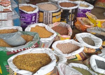 Rice and pulses displayed at a Patna grocery market amid rising festive-season prices
