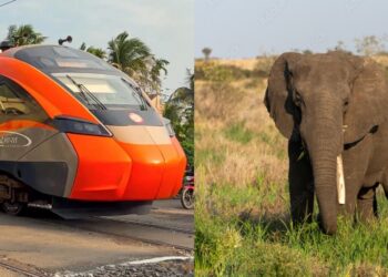 Wild Elephant Blocks Bihar Railway Track, 6 Major Trains Including Vande Bharat Delayed