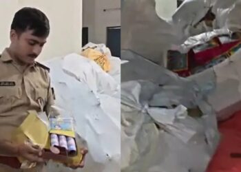 Patna Police Seize 70 Cartons Of Firecrackers Worth Rs 10 Lakh, Detain One