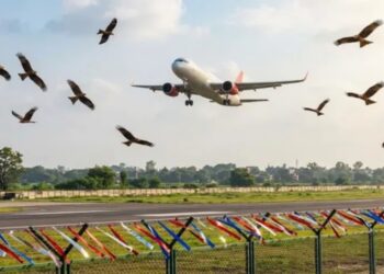 AI-generated illustration of birds flying near an aircraft, highlighting efforts to prevent bird-hit incidents at Patna Airport.