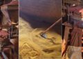 Fake masala factory busted in Bihar