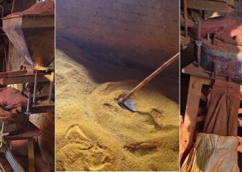 Fake masala factory busted in Bihar