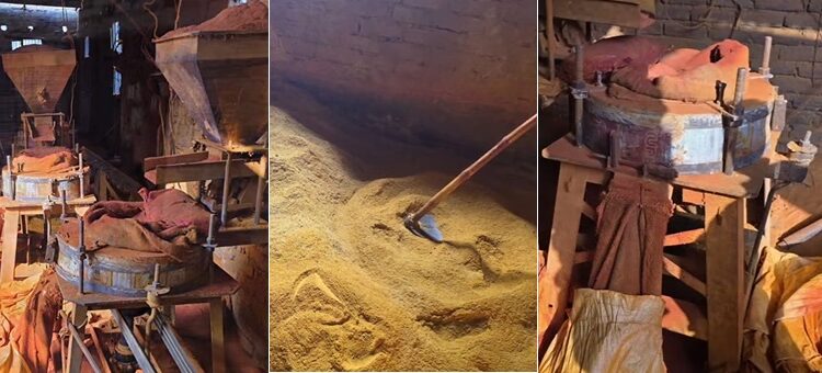 Fake masala factory busted in Bihar