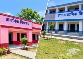 Bihar Government Schools New Colour Codes: Pink-Maroon And Grey-Blue