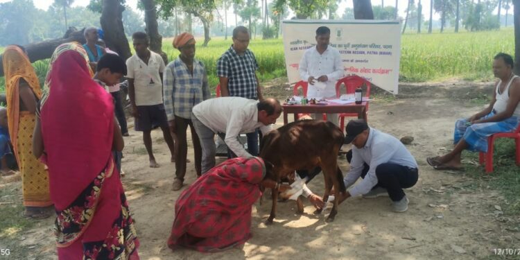 ICAR-RCER Animal Health Camp Benefits 110 Farmers In Gaya, Treats 134 Livestock