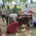 ICAR-RCER Animal Health Camp Benefits 110 Farmers In Gaya, Treats 134 Livestock
