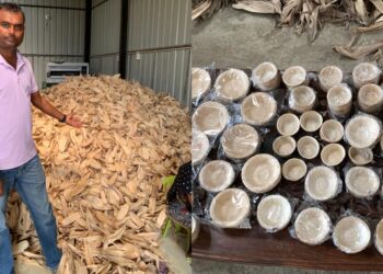 Muzaffarpur Engineer Develops Corn Husk Utensils To Replace Single-Use Plastics