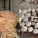 Muzaffarpur Engineer Develops Corn Husk Utensils To Replace Single-Use Plastics