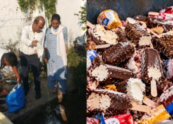 Patna Food Safety Crackdown: Golden Ice Cream, Snow Ball Products Destroyed; 160kg Butter Seized