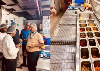 Patna Food Safety Drive: McDonald’s, Domino’s Face Notices; 160 Damaged Pizza Screens Destroyed