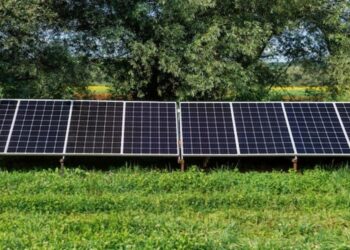 Rooftop solar panels in Bihar under a proposal to benefit consumers from excess electricity