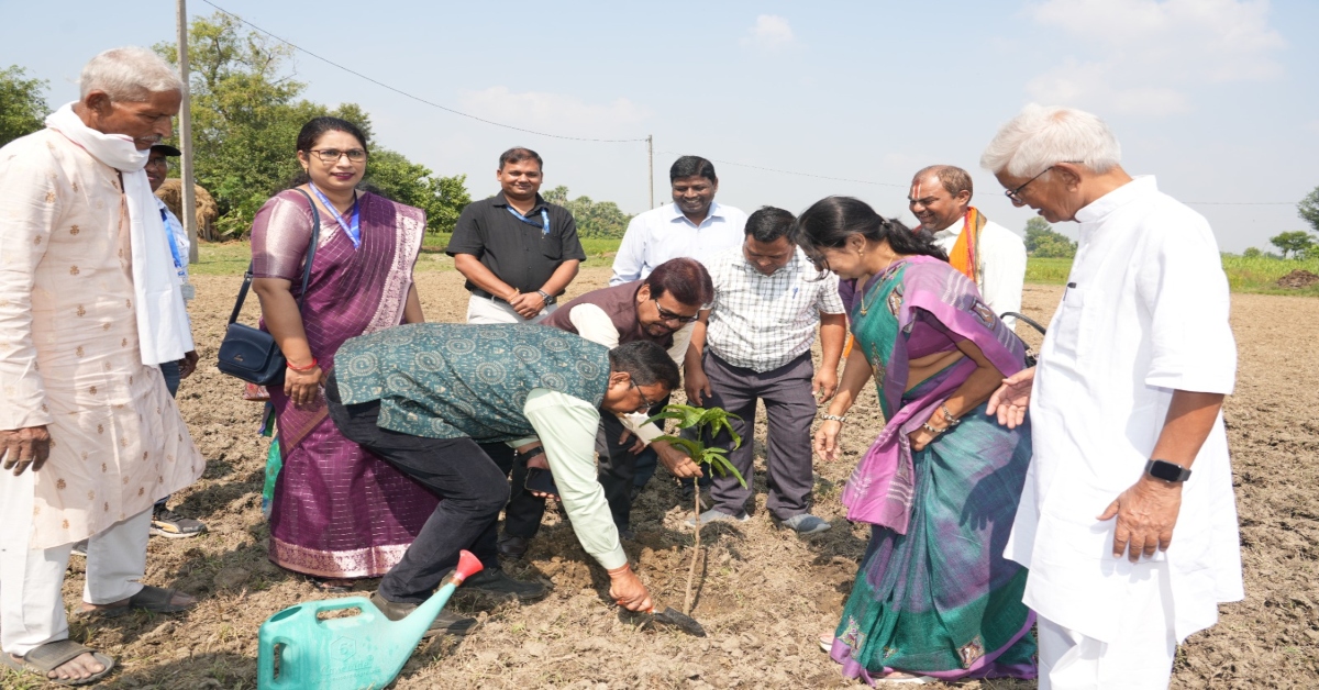 BAU To Develop Bhagalpur Village As Jardalu Mango Village, Distributes 100 Saplings