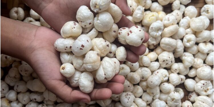 Bihar Government Targets 30,000 Tonnes Of Makhana Exports By 2030-31