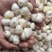 Bihar Government Targets 30,000 Tonnes Of Makhana Exports By 2030-31