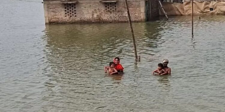 Ganga Above Danger Mark From Patna to Bhagalpur, Water Level Likely to Fall at Most Gauging Stations