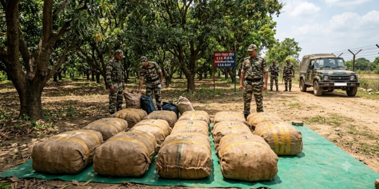 SSB Seizes 510 Kg of Ganja Near India-Nepal Border, 13 Bundles Found in Mango Orchard