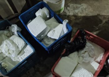 Sitamarhi Cracks Down on Food Adulteration Ahead of Festivals, 80 Kg Suspected Paneer Destroyed