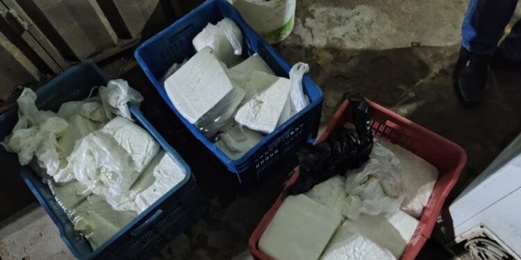 Sitamarhi Cracks Down on Food Adulteration Ahead of Festivals, 80 Kg Suspected Paneer Destroyed