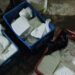 Sitamarhi Cracks Down on Food Adulteration Ahead of Festivals, 80 Kg Suspected Paneer Destroyed