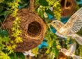 AI Generated Representative Image of Patna’s Durga Puja Pandal In Bhikhna Pahari Decorated With 1,000 Artificial Nests And Sparrows